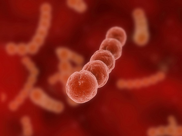 Xét nghiệm viêm họng liên cầu khuẩn Streptococcus